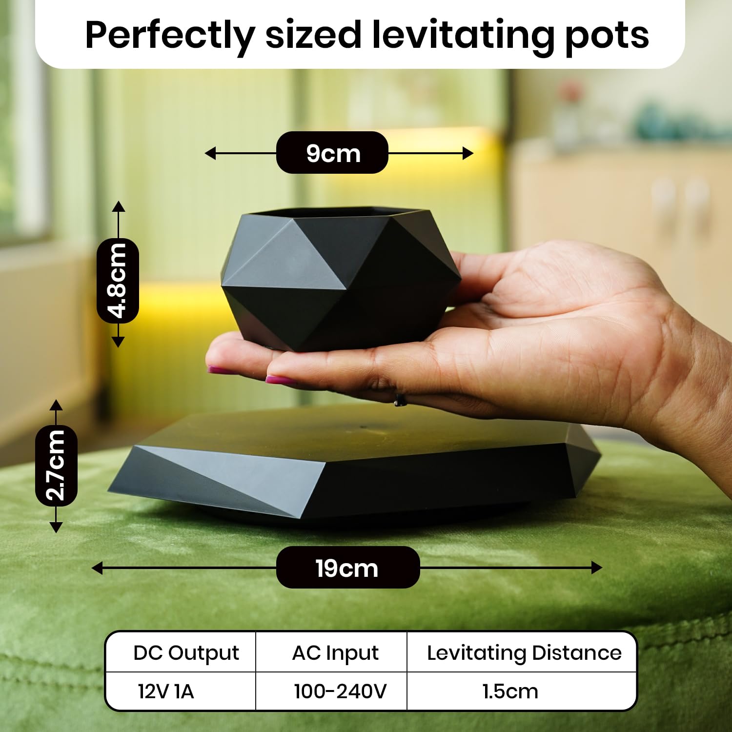 Ekhasa bonsai planter - stylish home decor