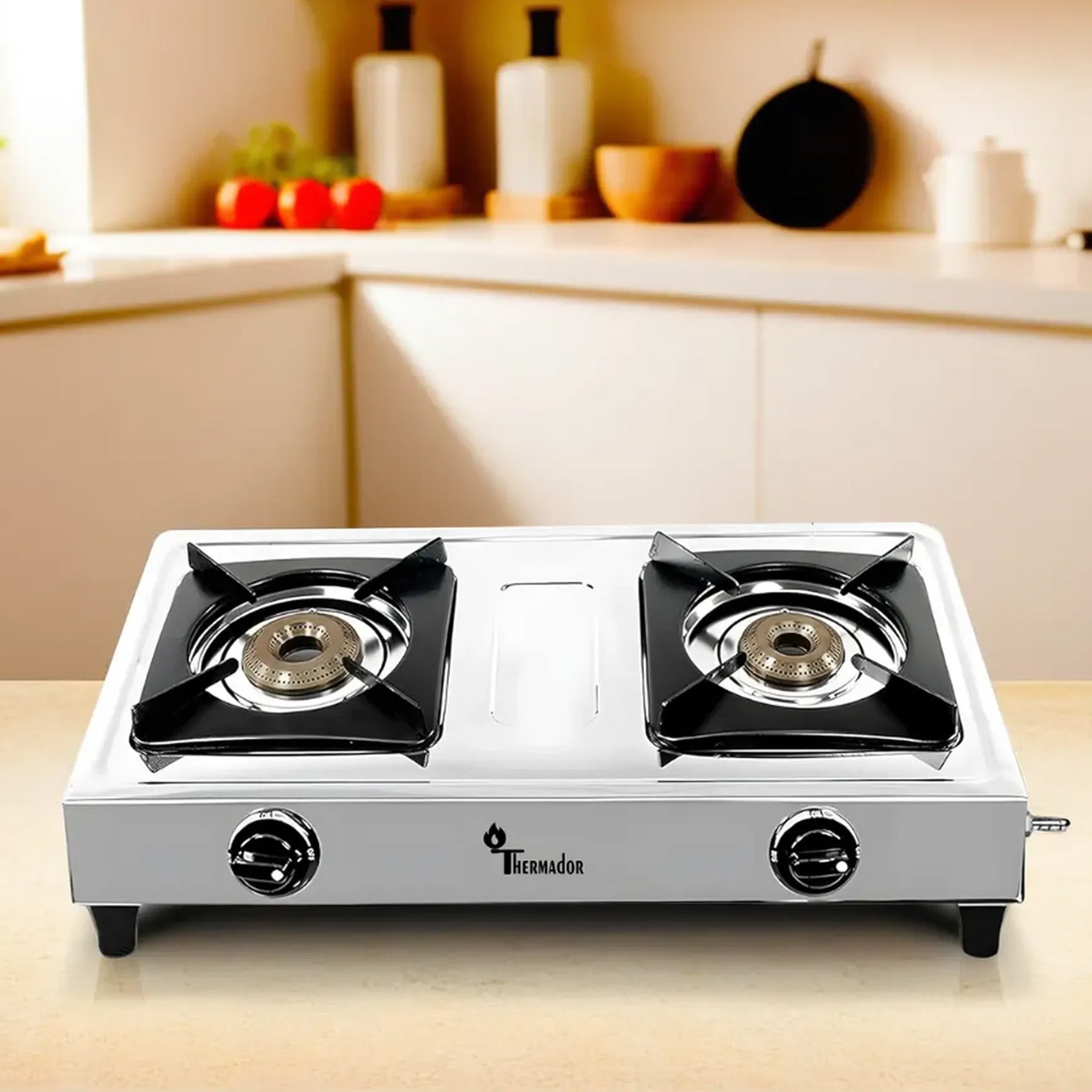 Nice Cooker Buy Combo: 2-Burner Stainless Steel Gas Stove - Cooking Excellence ...