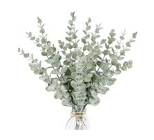 Ekhasa green eucalyptus bunch - beautiful table centerpiece