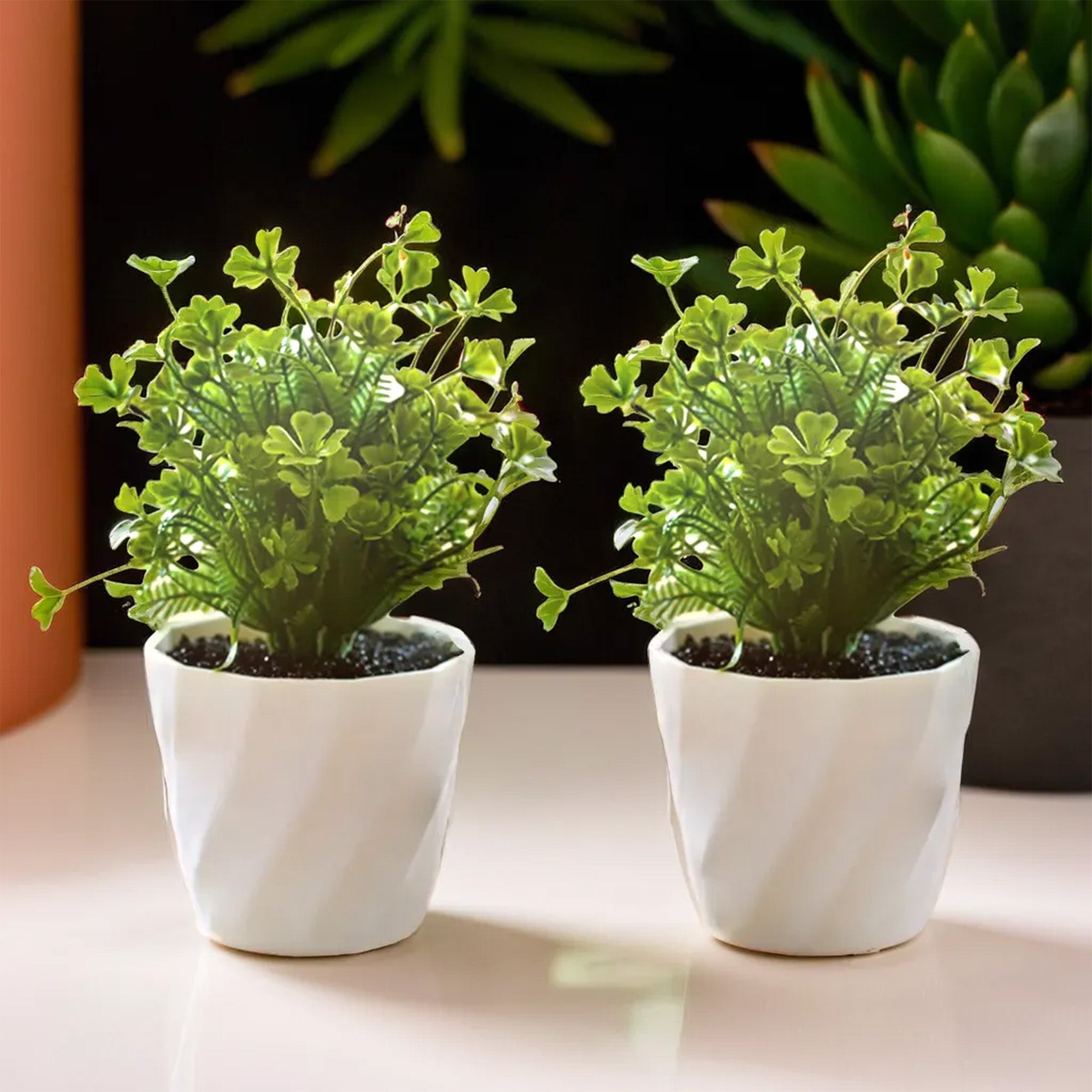 The Better Home decorative artificial plant - versatile home use