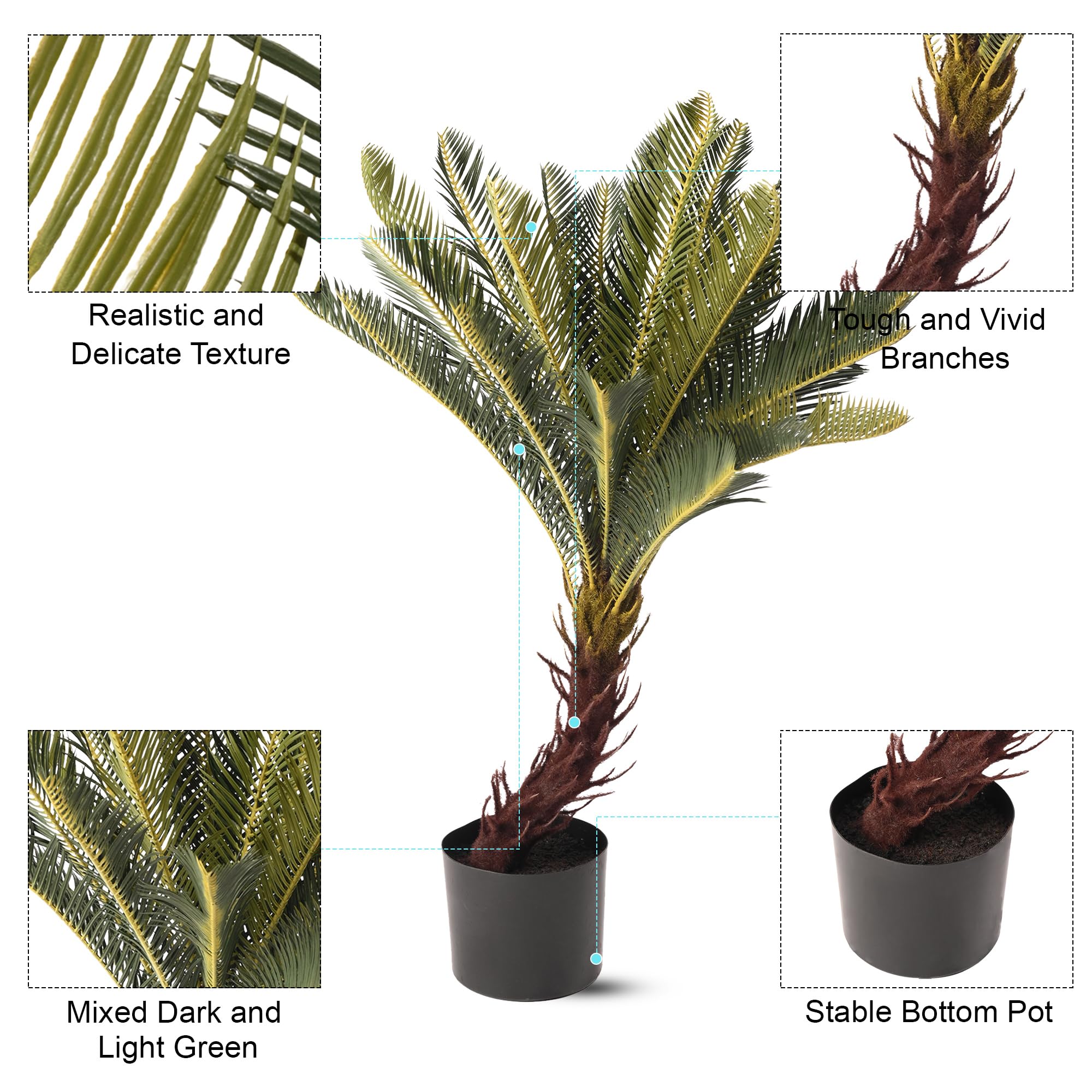 Kuber Sago Cycas Tree - Office Desk Greenery