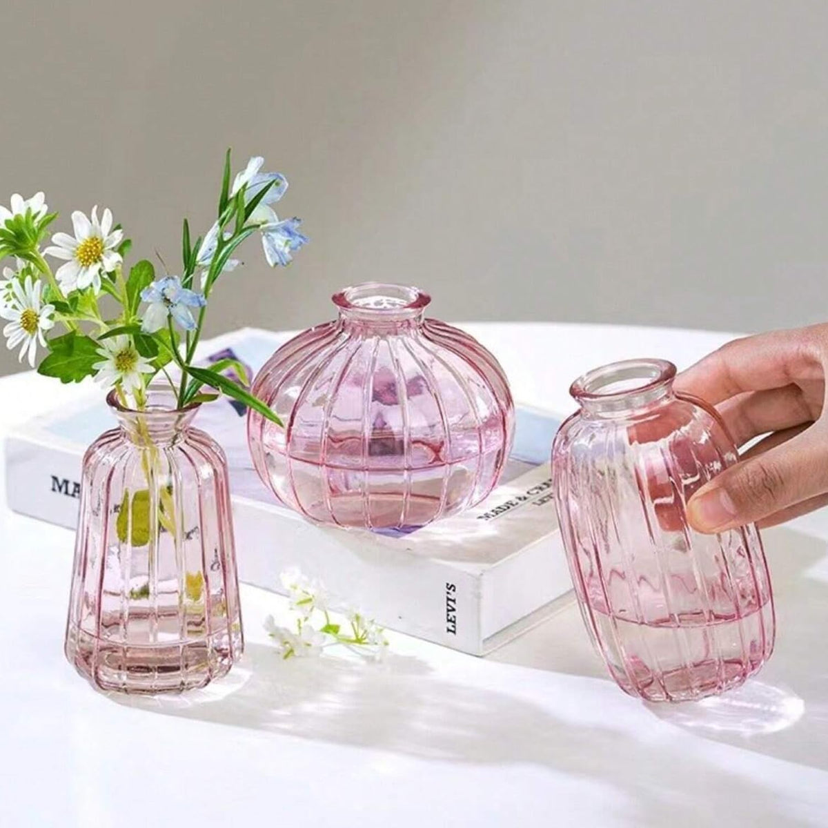 Ekhasa stylish glass vase - home ambiance enhancer