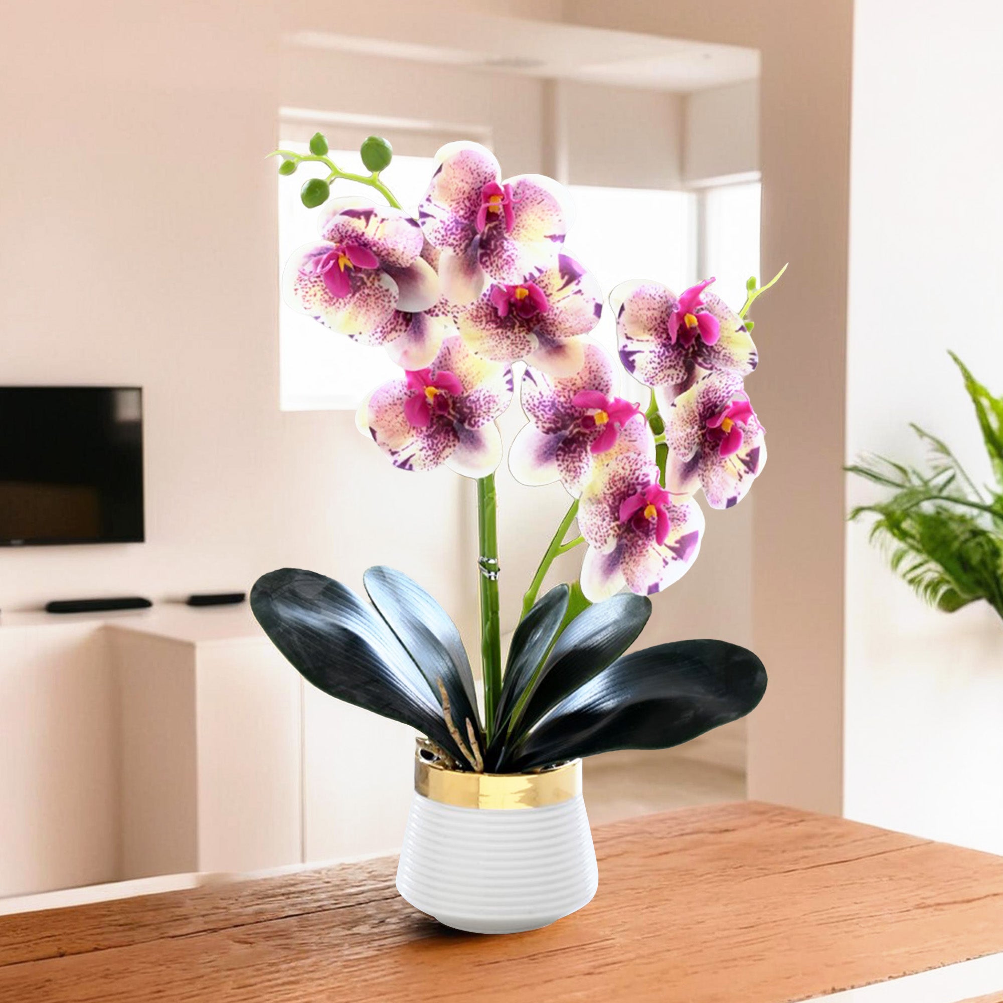 UMAI multicolour orchid - easy maintenance decor