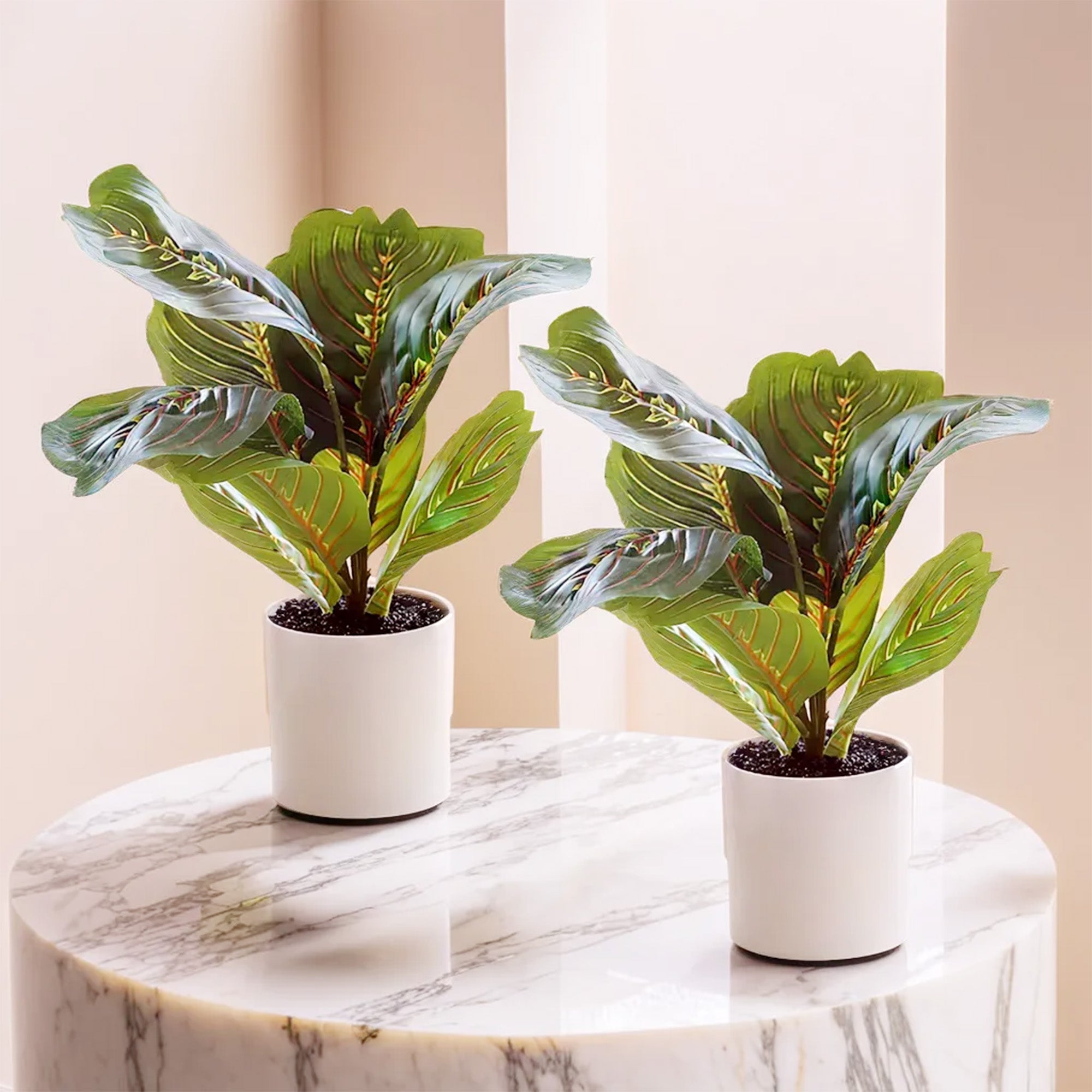 The Better Home Artificial Plants - Gift for All Occasions