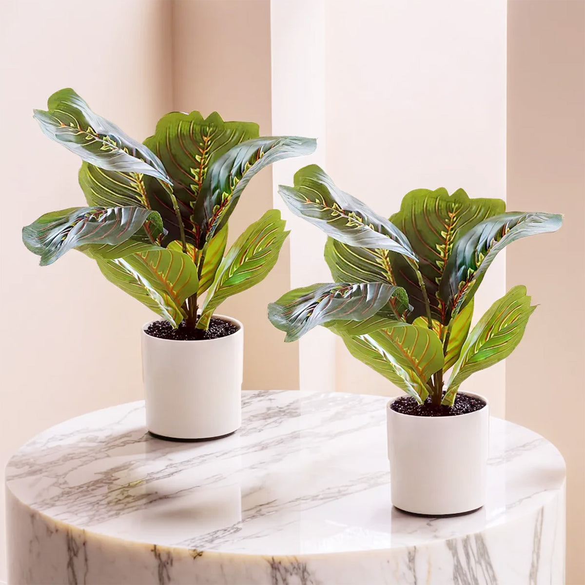 The Better Home Artificial Plants - Gift for All Occasions