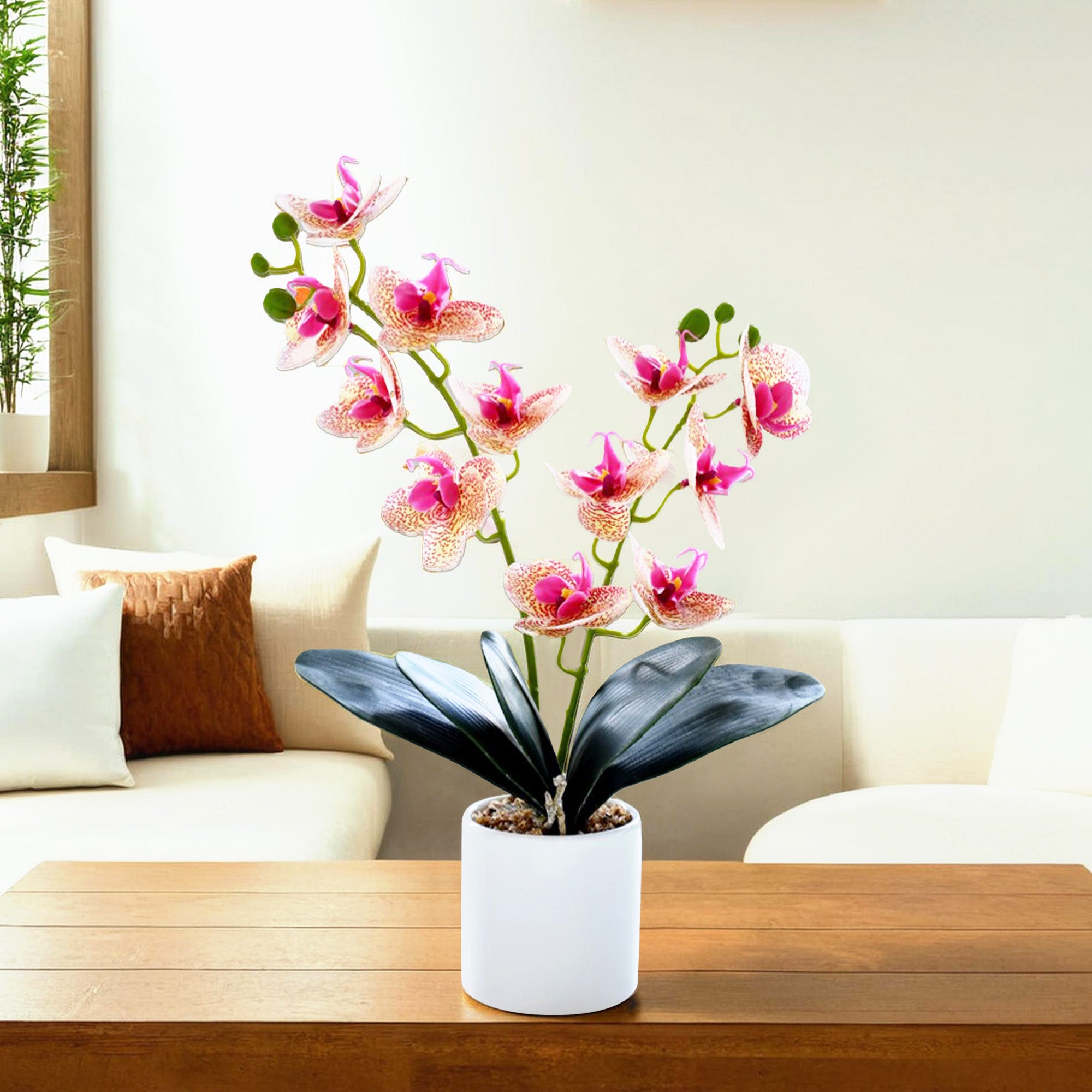 UMAI artificial orchid - Chic gift for loved ones