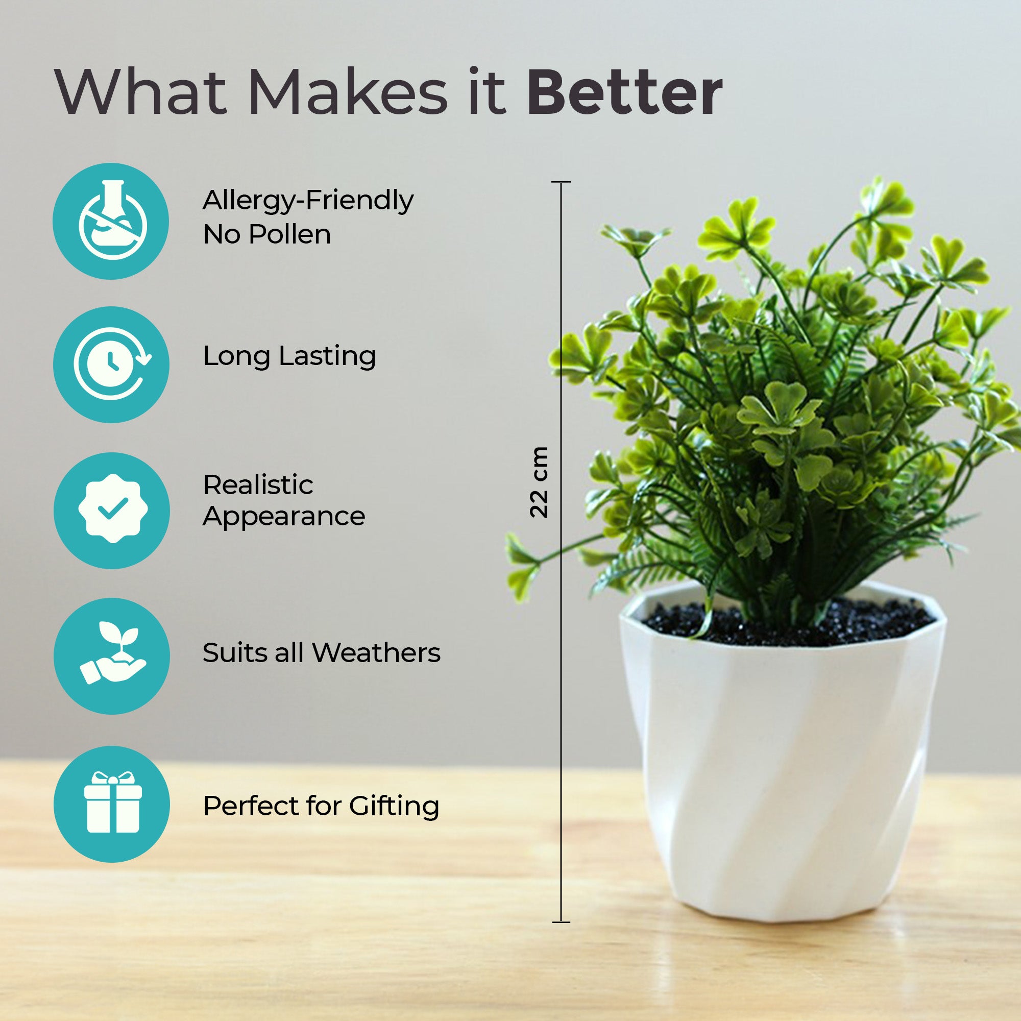The Better Home small grass balls plant - low maintenance decor