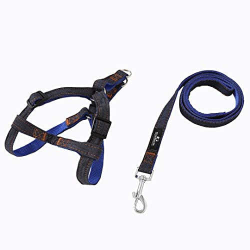 Kuber Industries Dog Belt Combo of Nylon Chest Harness with Leash I Dog Rope for Small to Medium Breeds I Waterproof Harness Chain for Pets (Blue)