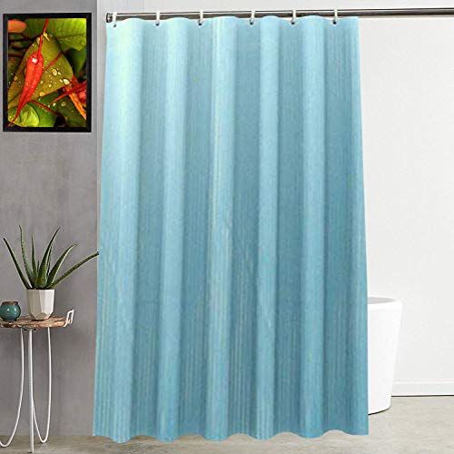 Kuber Industries Polyvinyl Chloride Self Lining Shower Curtain with 8 Hooks (Sky Blue, Standard)