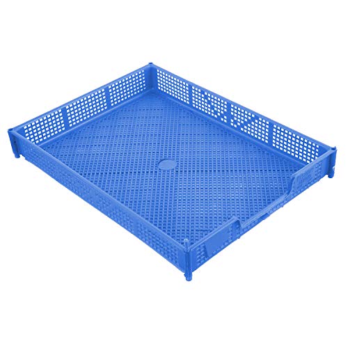 Kuber Industries Plastic Stationary Office Tray, File Tray, Document Tray, Paper Tray A4 Documents/Papers/Letters/folders Holder Desk Organizer (Blue) CTKTC134764