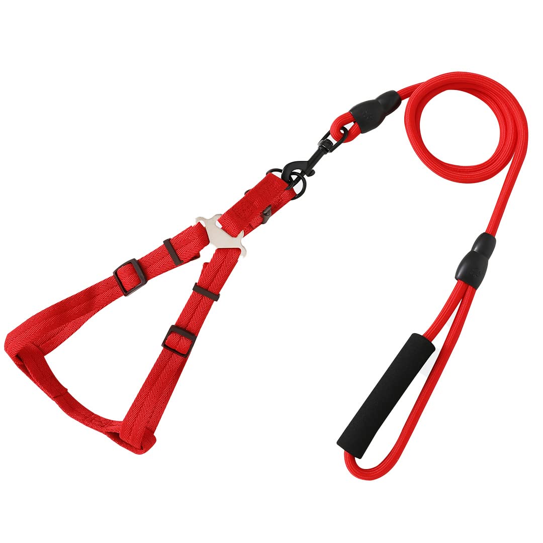 Kuber Industries Dog Harness for Medium Dogs & Leash Set|Premium Metal Hook|PDMGL-005-3|Comfortable Grip|Hand Spliced Belt for Added Strength |PDMGL-005-3| Soft Padding|Stylish Design |Red