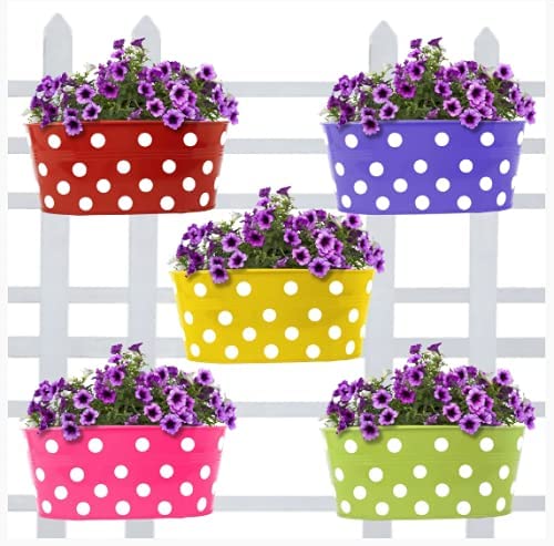 Homestic Dotted Oval Shape Planter|Premium Metal Flower Pot|Decorative Modern Desk Pot for Garden & Home Décor,Pack of 5 (Multicolor)