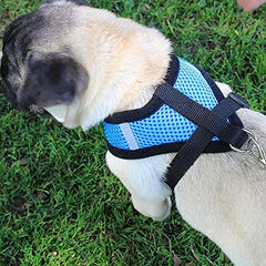 Kuber Industries Dog Harness With Adjustable Leash|Breathable Polyester Mesh|Large Size|HAT-818|Comfortable No-Pull Grip|Quick Release Buckles|Blue