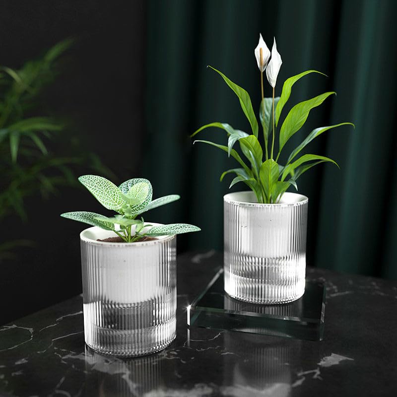 UMAI Self Watering Plant Pot | Plastic Automatic Watering Planters for Indoor, Outdoor, Balcony, Garden, Home, Office (Pack of 2, 4.7 inch-12cm, 7 inch-17.5cm)