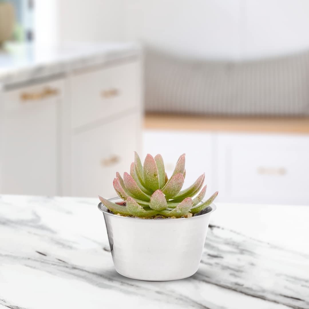 USHA SHRIRAM Stainless Steel Flower Pot | Bijou Planter | Rust Resistant | Home Décor | Sustainable | Planter for Office, Living Room | Desk Indoor Plants (500ml)