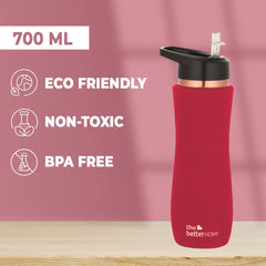 The Better Home Copper Water Bottle with Sipper | 100% Pure Copper Bottle with Sipper | BPA Free & Non Toxic Water Bottle with Anti Oxidant Properties of Copper | Maroon (Pack of 3)