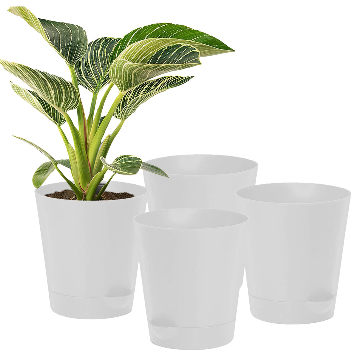 Kuber Industries Plastic Titan Pot|Garden Container for Plants & Flowers|Self-Watering Pot with Drainage Holes,6 Inch,Pack of 4 (White)