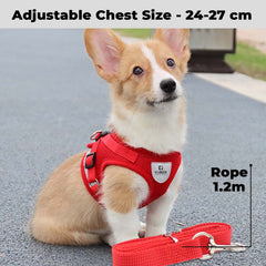 Kuber Industries Dog Chest Harness with Nylon Leash I No Pull, Soft Padded and Breathable Dog Vest I Adjustable, Reflective I Easy Control Dog Chest Belt I (XS, Red)