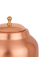 USHA SHRIRAM Pure Copper Water Bottle (1 L) & Copper Matka (8L) – GB Usha