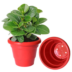 Kuber Industries Solid 2 Layered Plastic Flower Pot|Gamla for Home Decor,Nursery,Balcony,Garden,8"x 6",Pack of 10 (Red)