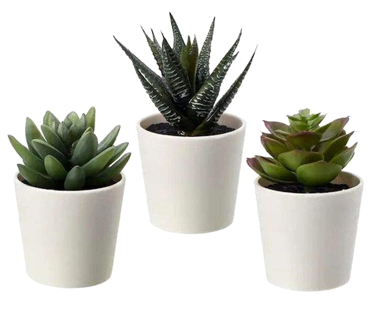 Kuber Industries Artificial Set of 3 Mini Realistic Fake Plants with Plastic Pots for Home and Office Decoration (Green), Standard (HS39KUBMART023711)