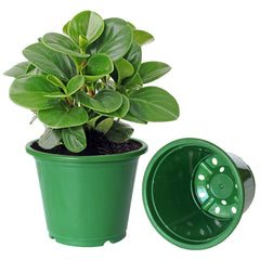 Kuber Industries Durable Plastic Flower Pot|Gamla with Drain Holes for Indoor Home Decor & Outdoor Balcony,Garden,6"x5",Pack of 8 (Green)