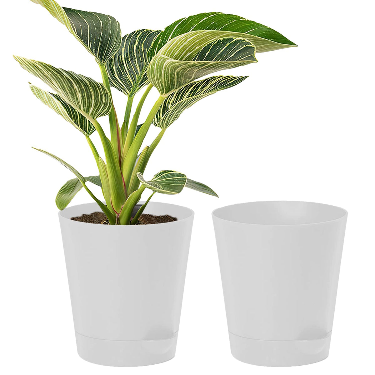 Kuber Industries Plastic Titan Pot|Garden Container for Plants & Flowers|Self-Watering Pot with Drainage Holes,6 Inch,Pack of 2 (White)