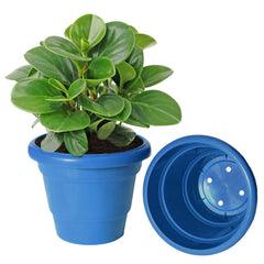 Kuber Industries Solid 2 Layered Plastic Flower Pot|Gamla for Home Decor,Nursery,Balcony,Garden,8"x 6",Pack of 8 (Blue)