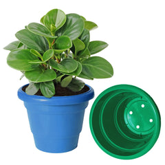 Kuber Industries Solid 2 Layered Plastic Flower Pot|Gamla for Home Decor,Nursery,Balcony,Garden,6"x5",Pack of 3 (Blue & Orange & Green)