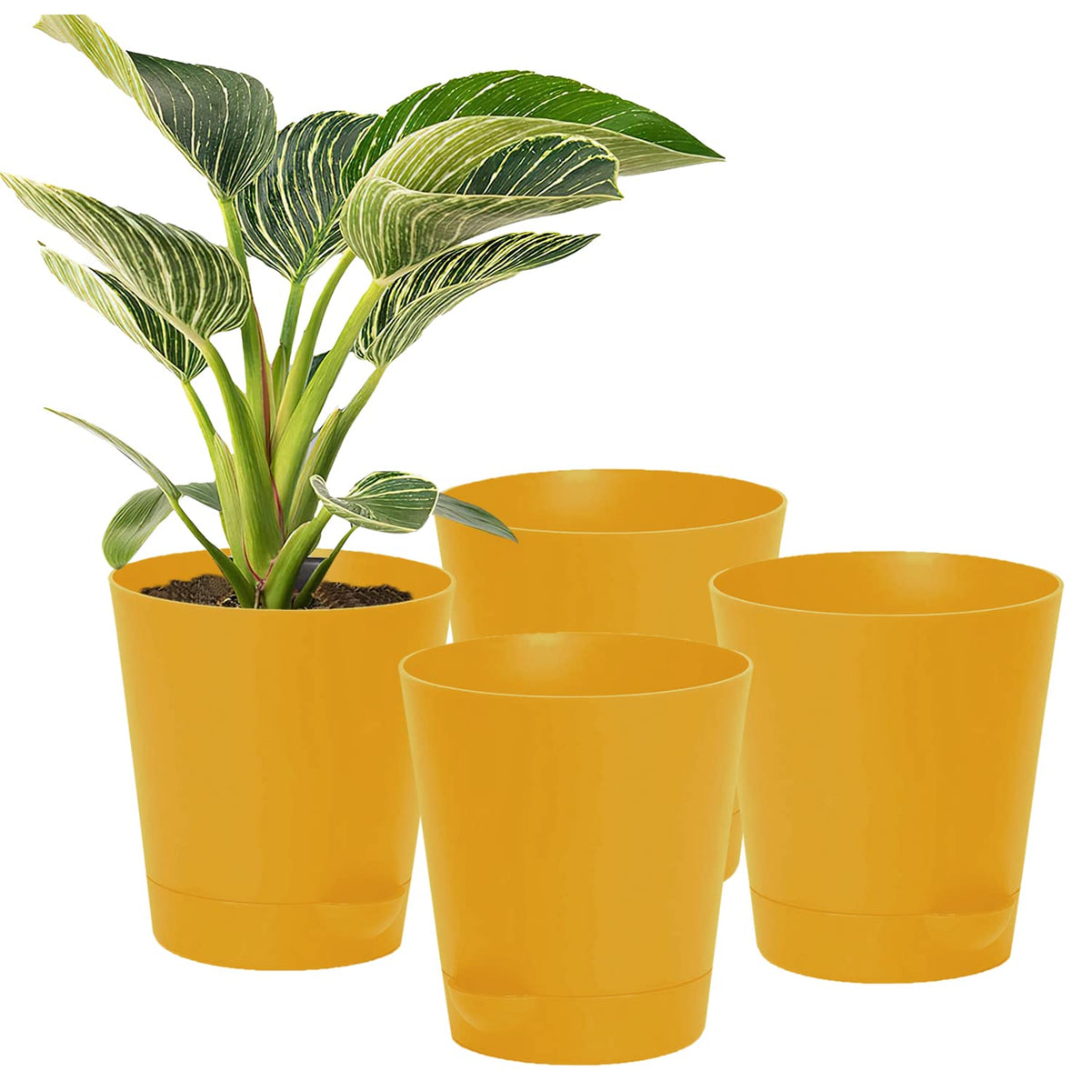 Kuber Industries Plastic Titan Pot|Garden Container for Plants & Flowers|Self-Watering Pot with Drainage Holes,6 Inch,Pack of 4 (Yellow)