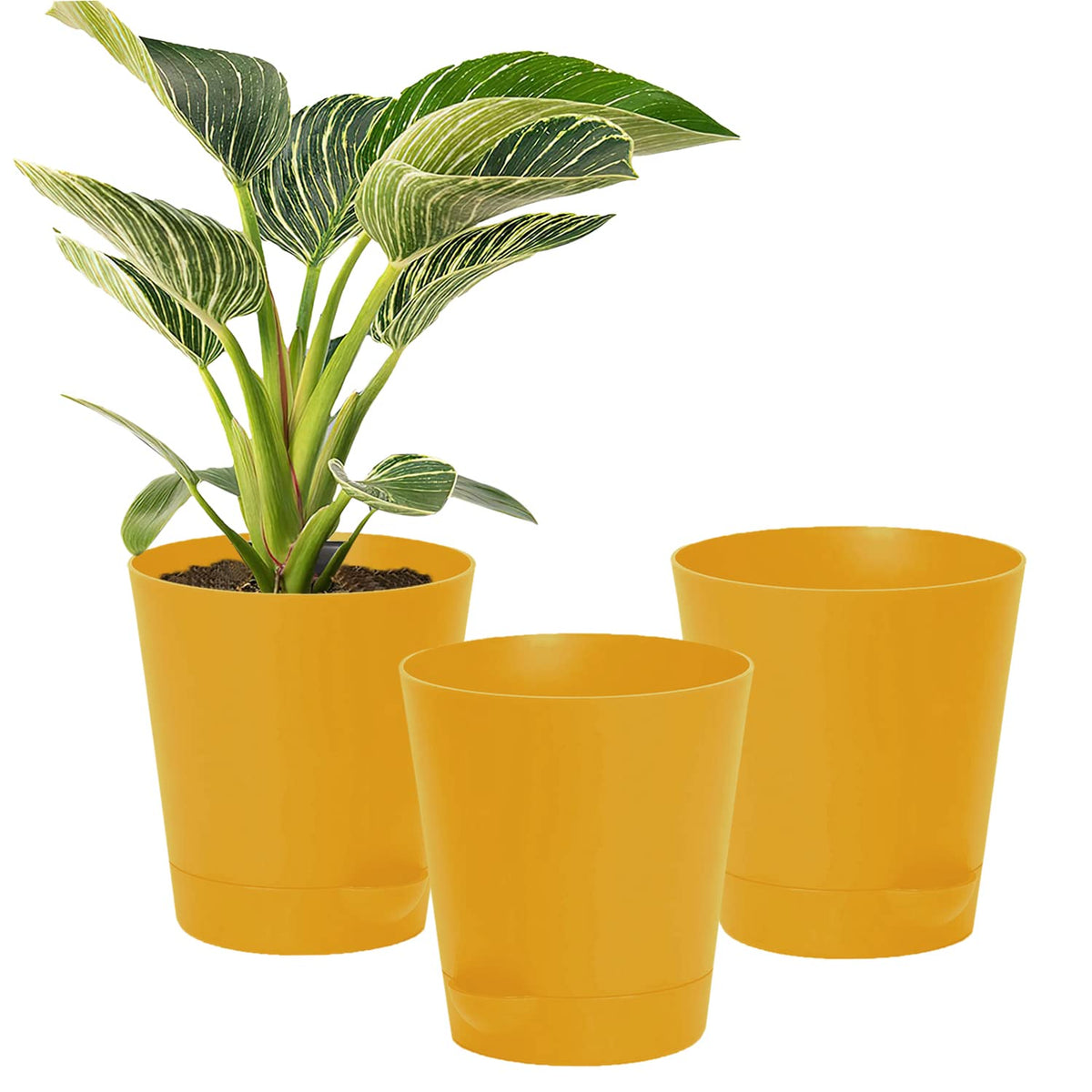 Kuber Industries Plastic Titan Pot|Garden Container for Plants & Flowers|Self-Watering Pot with Drainage Holes,6 Inch,Pack of 3 (Yellow)