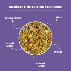 Petvit Nutritional Food for Sparrow, Finches, Pigeons, and Wild Birds | Yellow Proso, Pearl Millet, Wheat, Foxtail Millet, Oats, Green Proso | Bird Food- 1kg