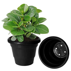 Kuber Industries Solid 2 Layered Plastic Flower Pot|Gamla for Home Decor,Nursery,Balcony,Garden,6"x5",Pack of 8 (Black)