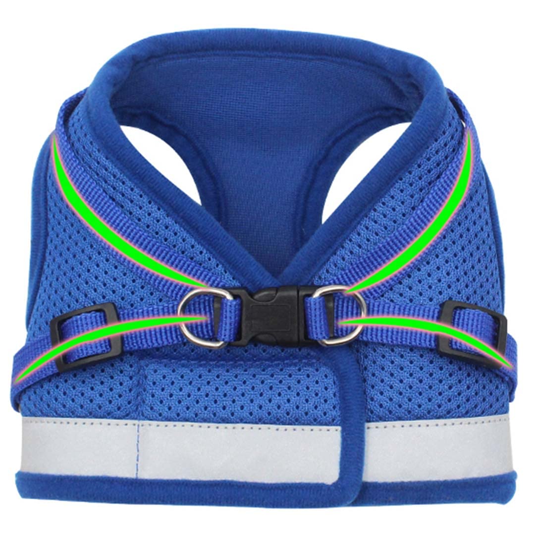 Kuber Industries Dog Harness With Adjustable Leash|Breathable Polyester Mesh Fabric |Large Size|HT-844|Comfortable No-Pull Grip|Quick Release Buckles|Blue