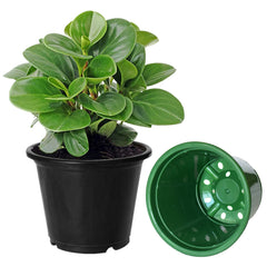 Kuber Industries Durable Plastic Flower Pot|Gamla for Indoor Home Decor & Outdoor Balcony,Garden,6"x5",Pack of 4 (Multicolor)