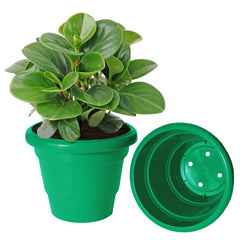 Kuber Industries Solid 2 Layered Plastic Flower Pot|Gamla for Home Decor,Nursery,Balcony,Garden,6"x5",Pack of 3 (Green)