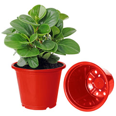 Kuber Industries Durable Plastic Flower Pot|Gamla with Drain Holes for Indoor Home Decor & Outdoor Balcony,Garden,6"x5",Pack of 4 (Red)