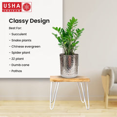 USHA SHRIRAM Stainless Steel Flower Pot | Tower Planter | Rust Resistant | Home Décor | Sustainable | Planter for Office, Living Room | Indoor Plants (3.1L)
