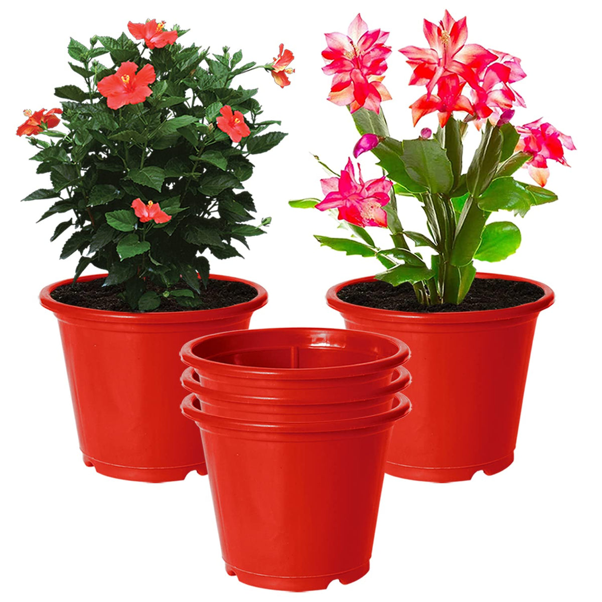 Kuber Industries Durable Plastic Flower Pot|Gamla with Drain Holes for Indoor Home Decor & Outdoor Balcony,Garden,6"x5",Pack of 5 (Red)