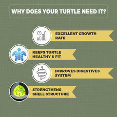 Petvit Turtle Food with Essential Vitamins | Supports Growth, Color, and Immunity - 1kg