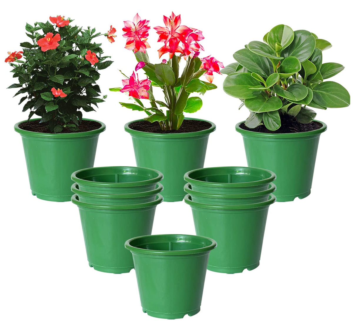 Kuber Industries Plastic Planters|Gamla|Flower Pots for Garden Nursery Home Décor,8"x6",Pack of 10 (Green)