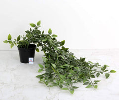 Heart Home Artificial Vine Plants with Pot|Natural Look & Plastic Material|Easy Home Décor with Small Size Pot|Size 27 x 75 x 7 CM, Pack of 2 (Green and Black)