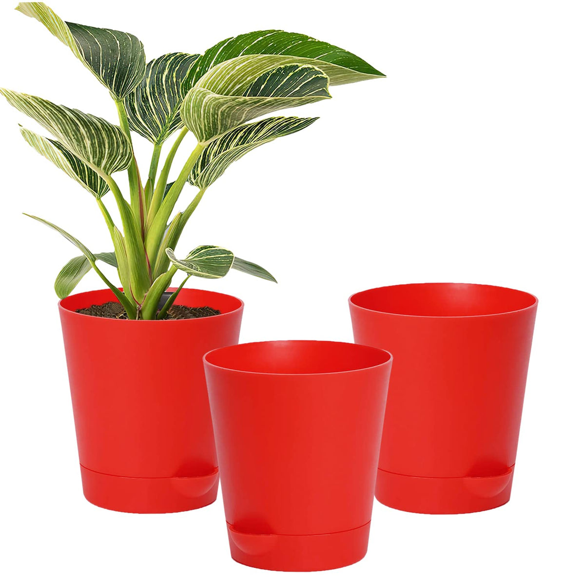 Kuber Industries Plastic Titan Pot|Garden Container for Plants & Flowers|Self-Watering Pot with Drainage Holes,6 Inch,Pack of 3 (Red)
