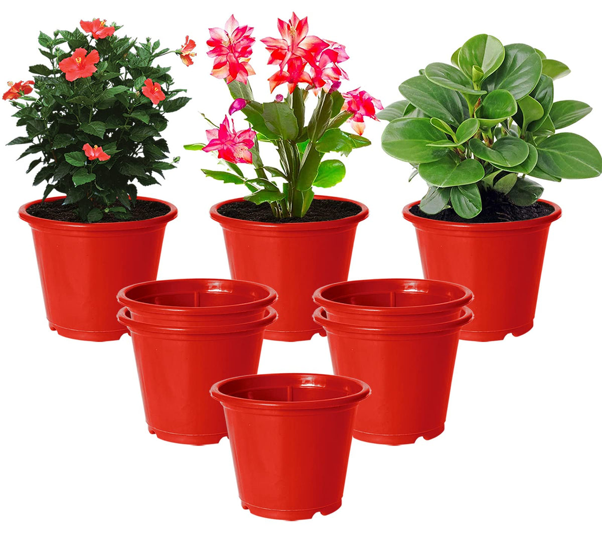 Kuber Industries Plastic Planters|Gamla|Flower Pots for Garden Nursery Home Décor,8"x6",Pack of 8 (Red)