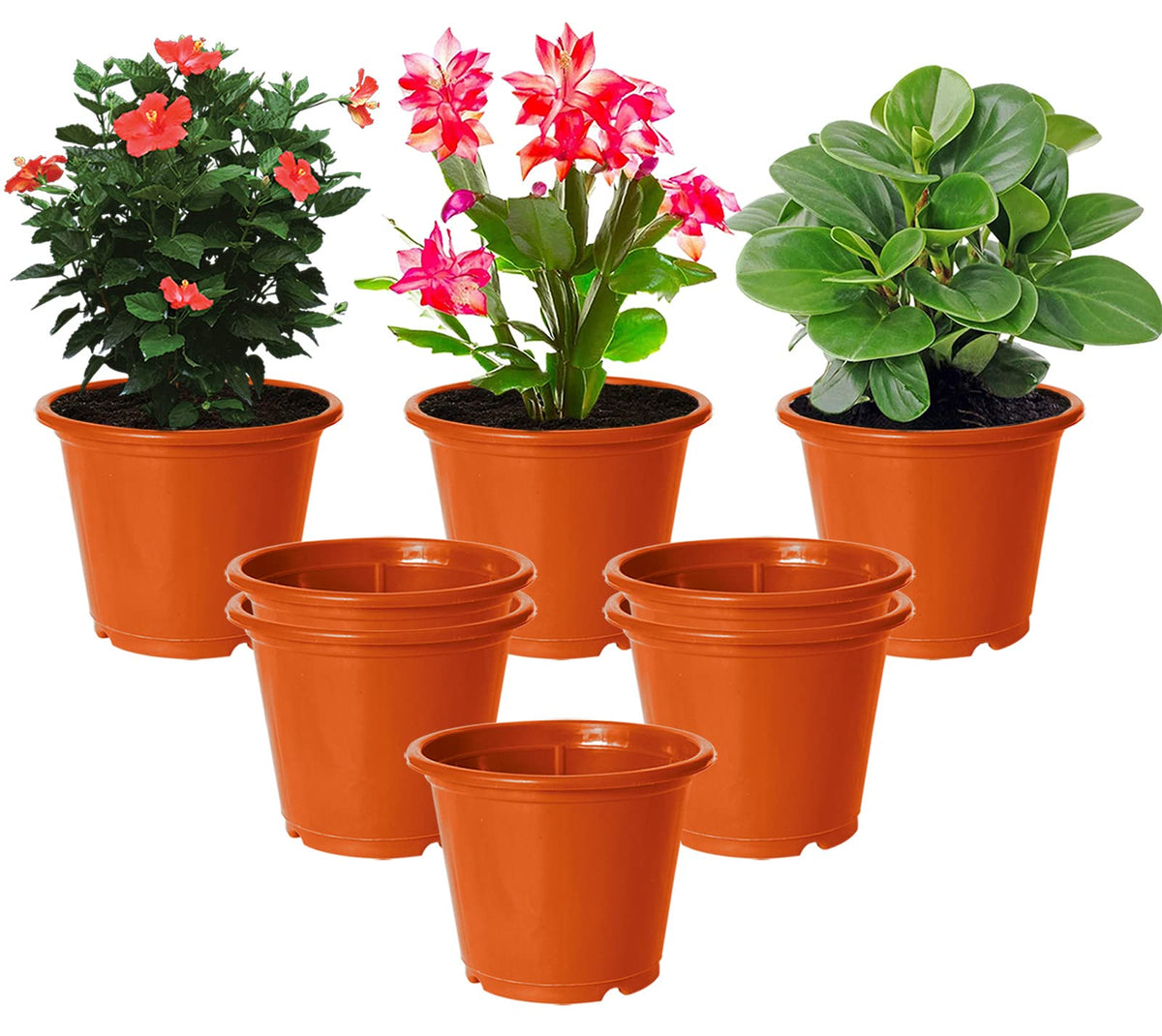 Kuber Industries Durable Plastic Flower Pot|Gamla with Drain Holes for Indoor Home Decor & Outdoor Balcony,Garden,6"x5",Pack of 8 (Orange)