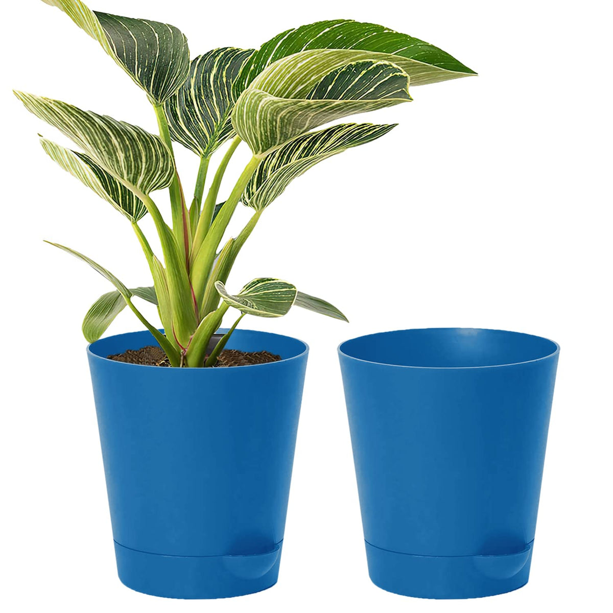 Kuber Industries Plastic Titan Pot|Garden Container for Plants & Flowers|Self-Watering Pot with Drainage Holes,6 Inch,Pack of 2 (Blue)