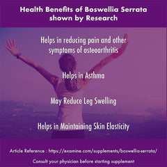 HealthyHey Nutrition Boswellia Serrata Extract - 120 Vegetable Capsules