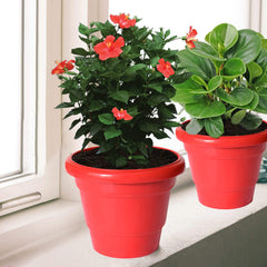 Kuber Industries Solid 2 Layered Plastic Flower Pot|Gamla for Home Decor,Nursery,Balcony,Garden,8"x 6",Pack of 10 (Red)