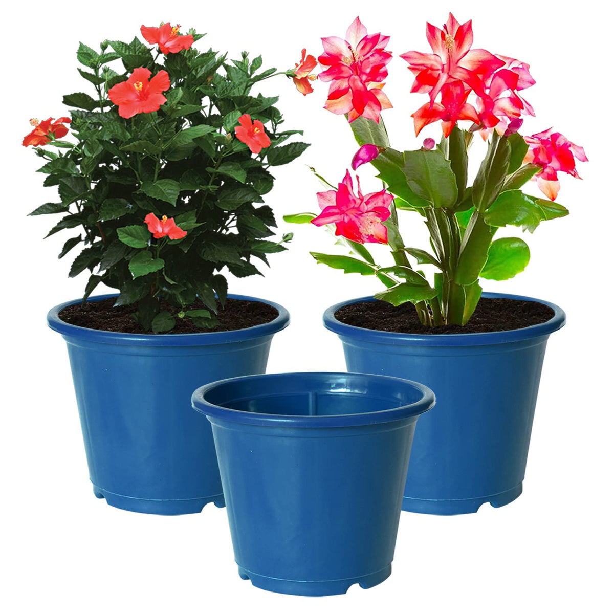 Kuber Industries Durable Plastic Flower Pot|Gamla with Drain Holes for Indoor Home Decor & Outdoor Balcony,Garden,6"x5",Pack of 3,(Blue)