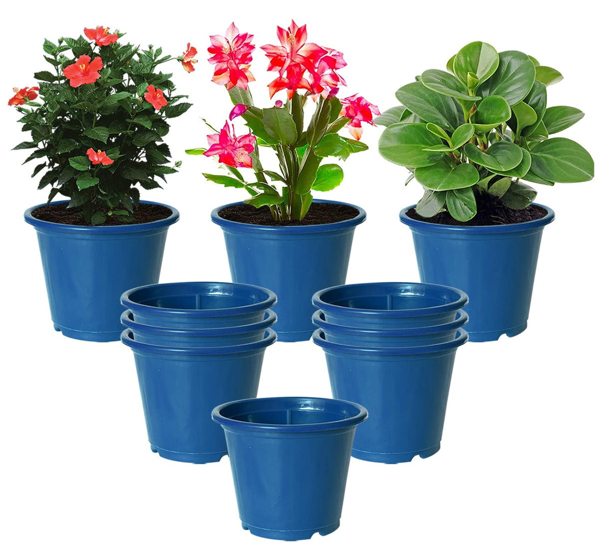 Kuber Industries Durable Plastic Flower Pot|Gamla with Drain Holes for Indoor Home Decor & Outdoor Balcony,Garden,6"x5",Pack of 10,(Blue)